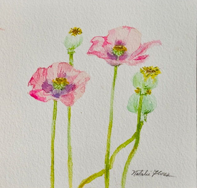 Pink Poppies