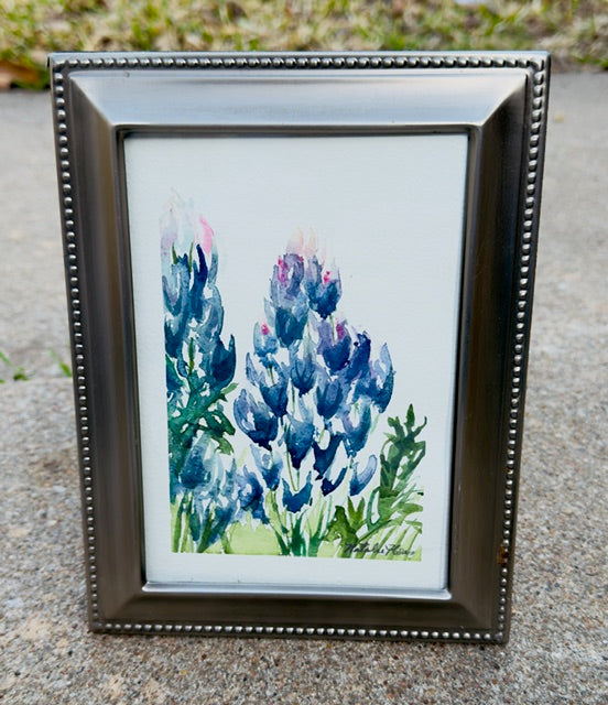 Bluebonnet pair