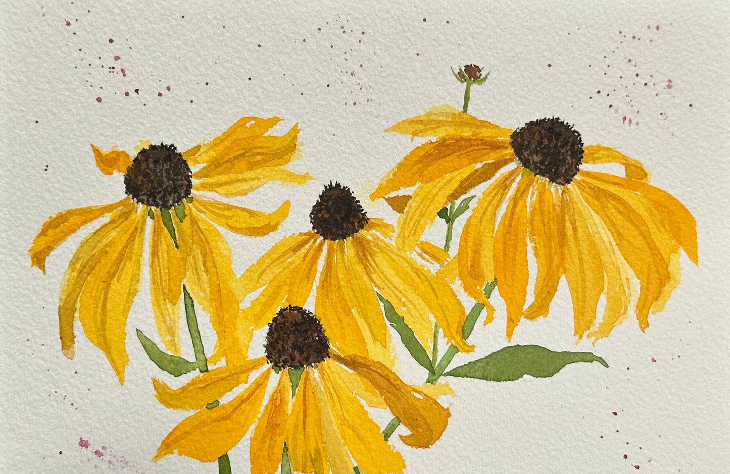 Blackeyed Susan Notecard