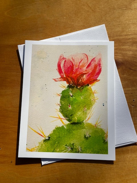 Pink Prickly Pear Flower