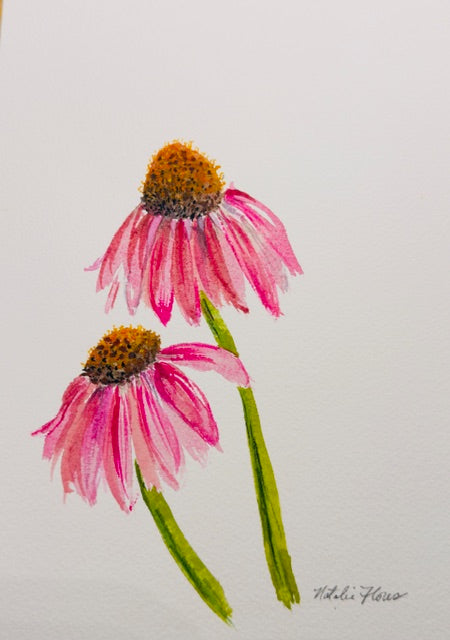 Echinacea