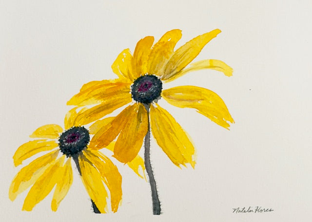 Beautiful Blackeyed Susans