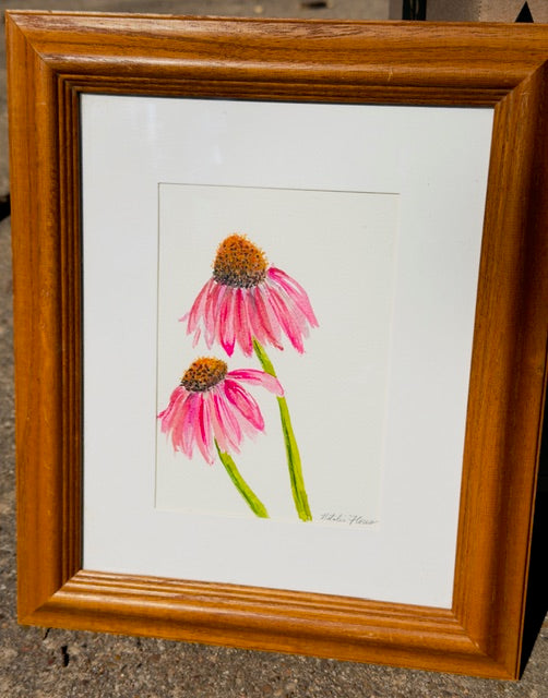 Echinacea