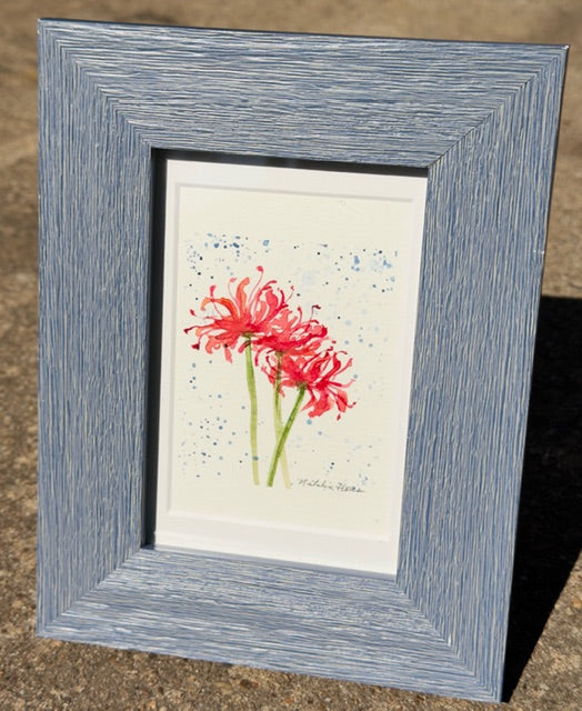 Spiderlily