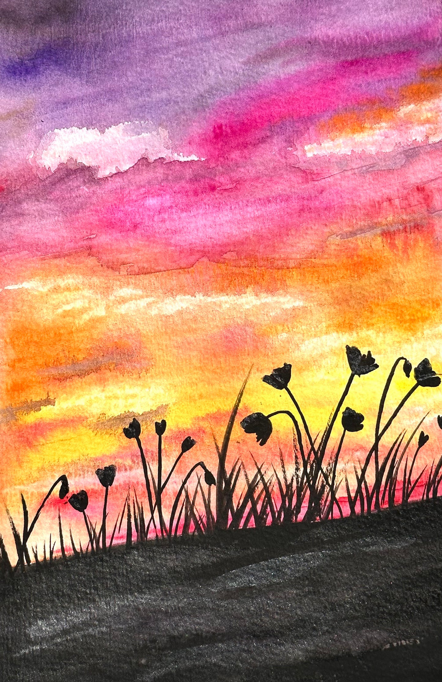 Poppy Sunset Silouette Notecard