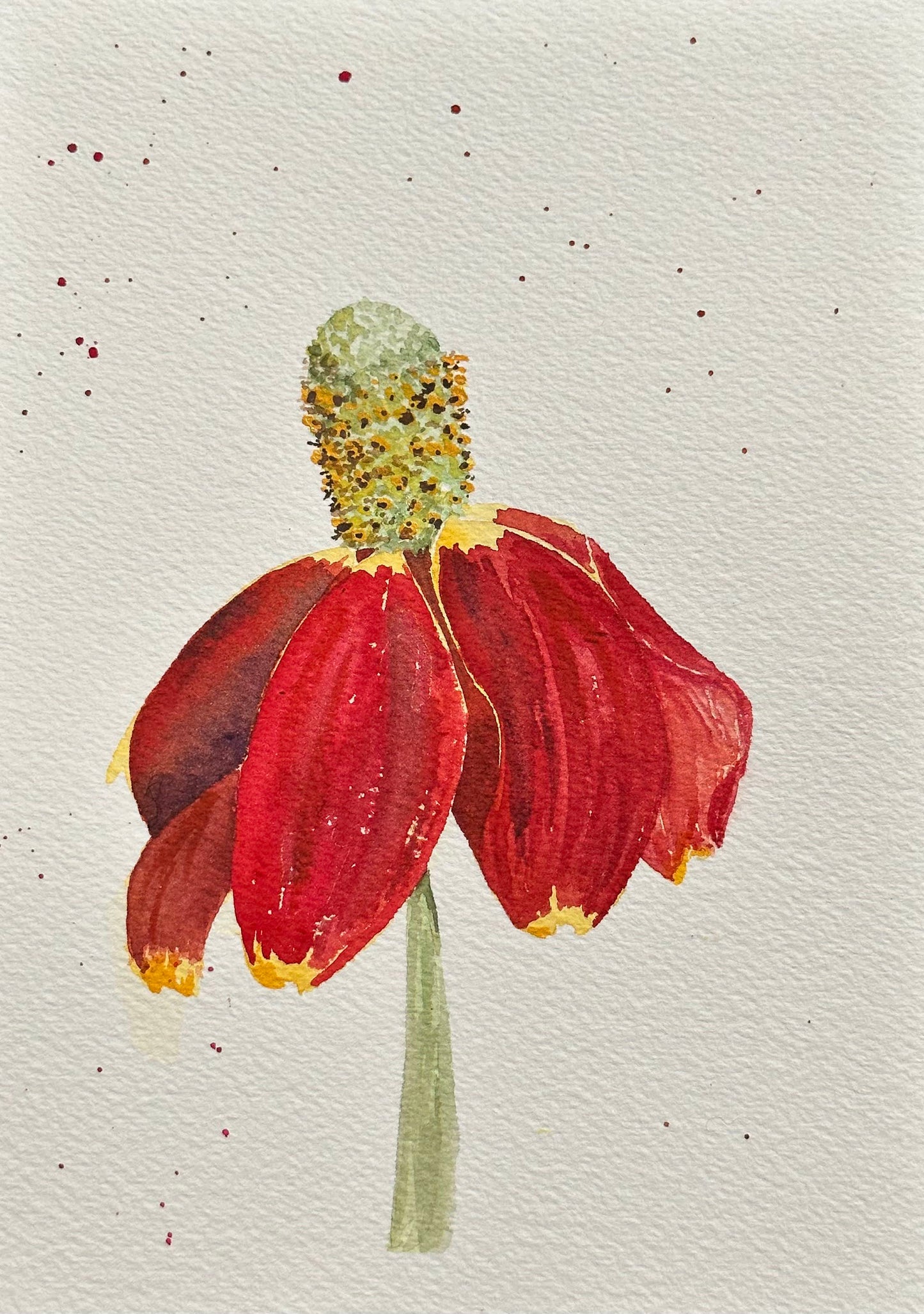 Mexican Hat Notecard