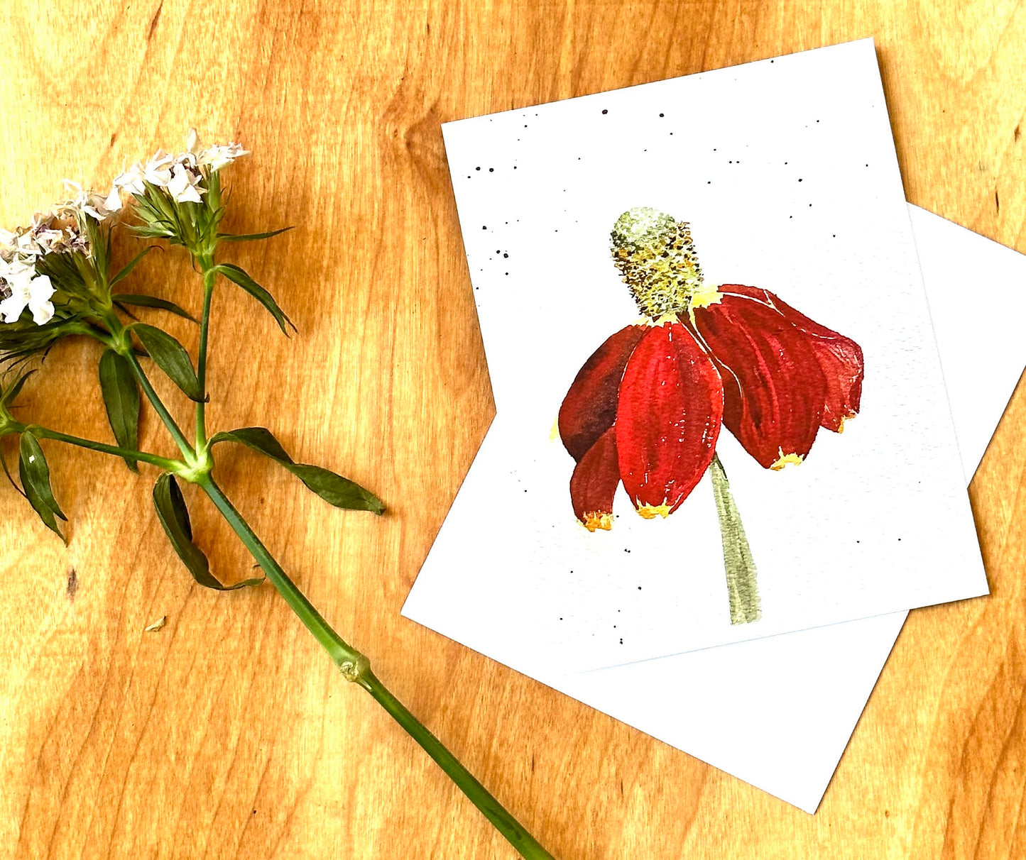 Mexican Hat Notecard