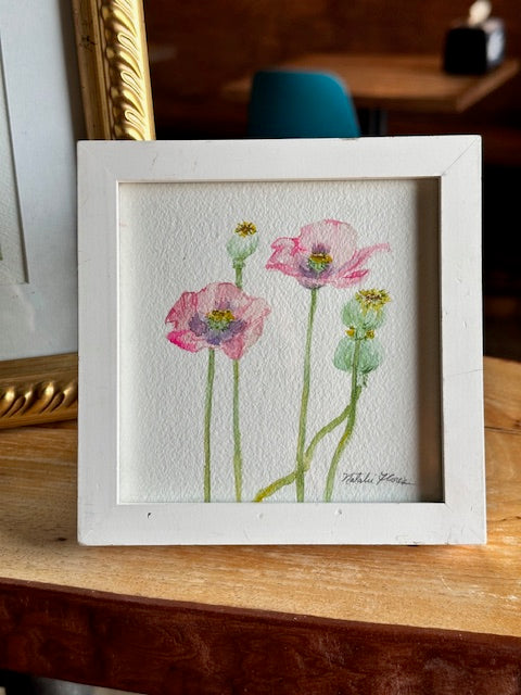Pink Poppies