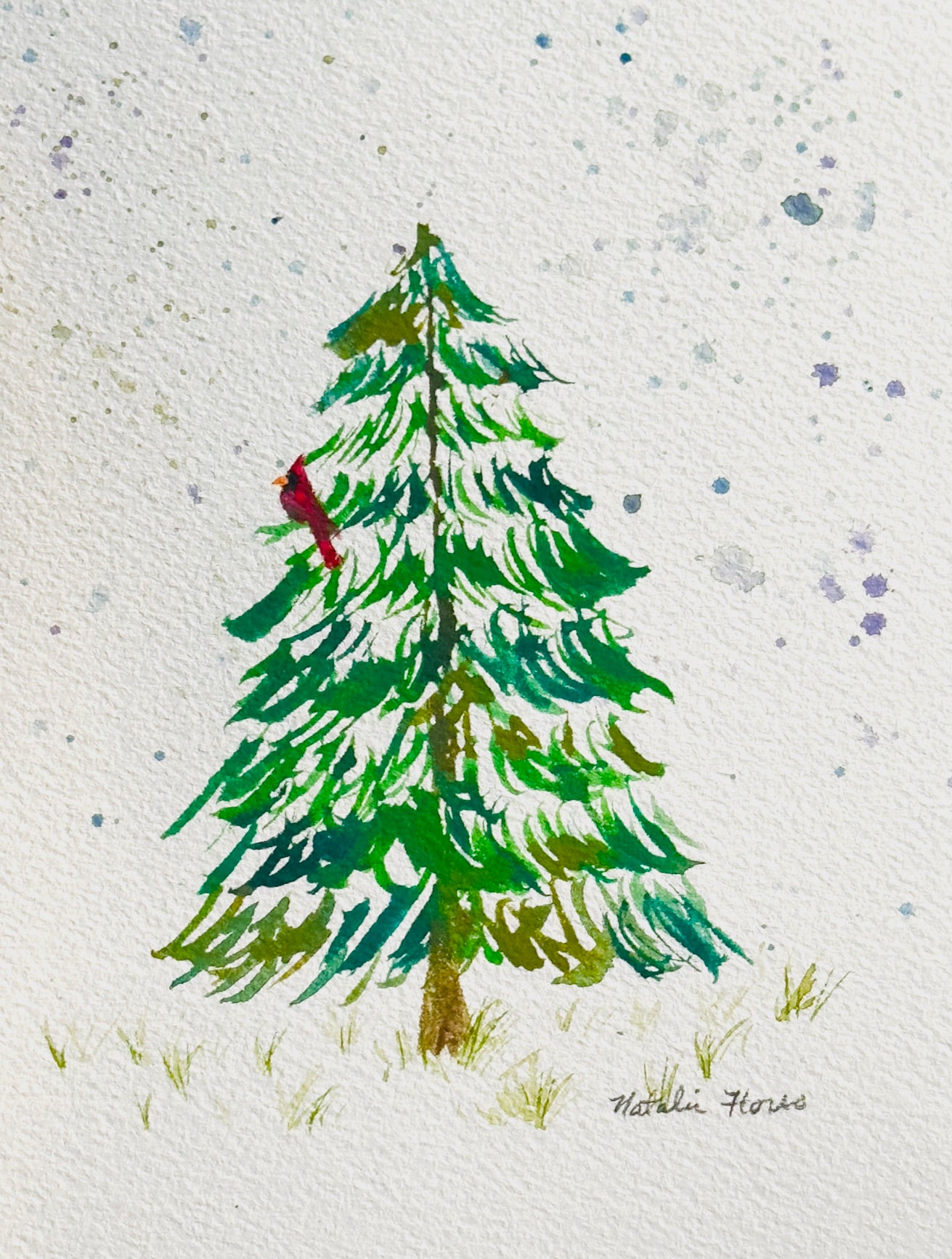 Lone Pine Tree