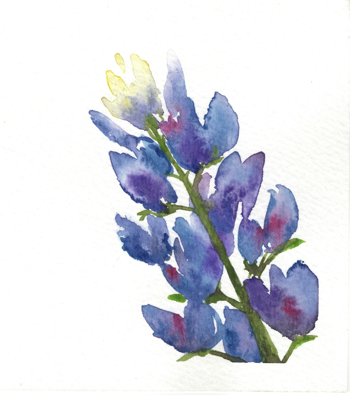 Bluebonnet Wildflower Notecard