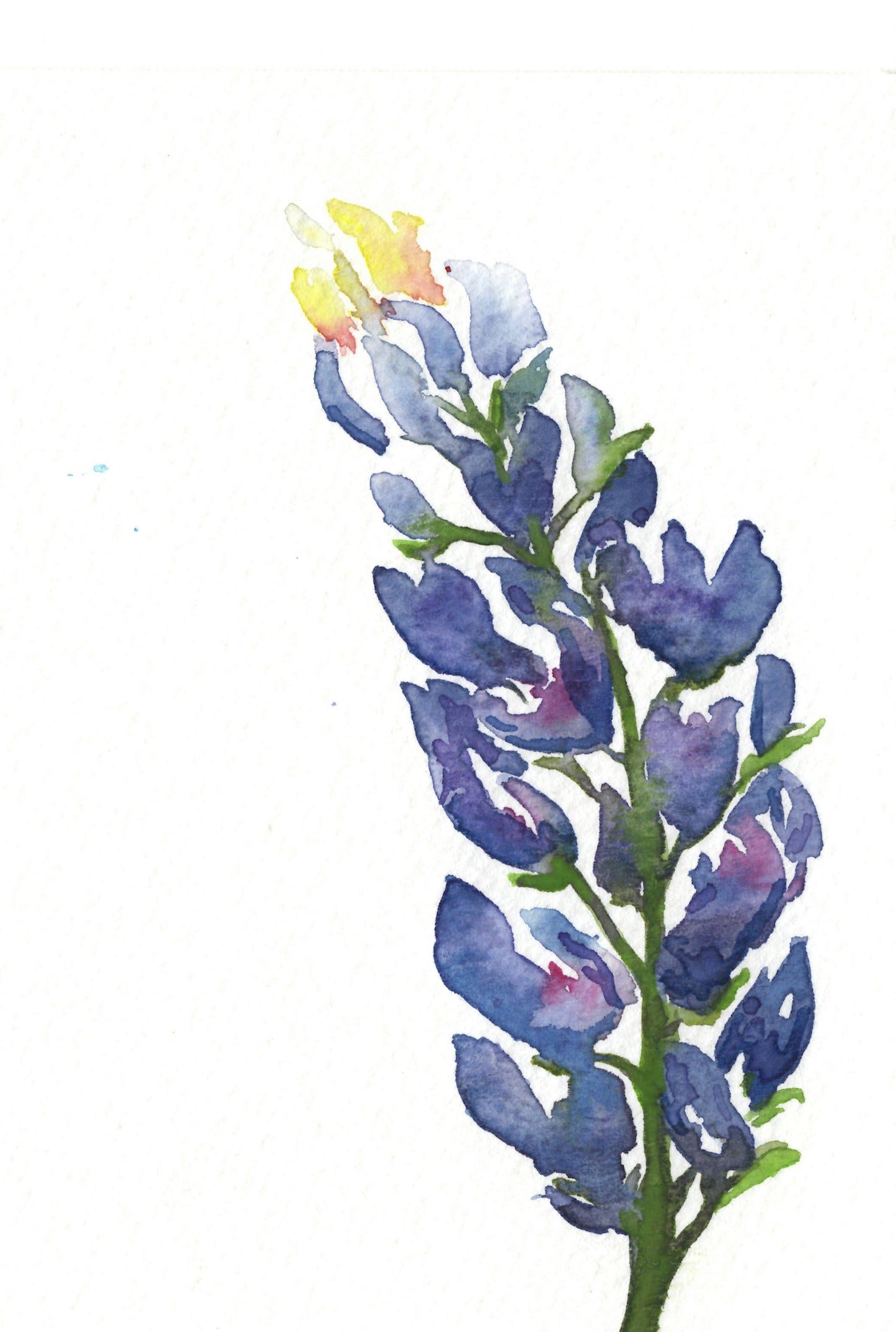 Bluebonnet Notecard