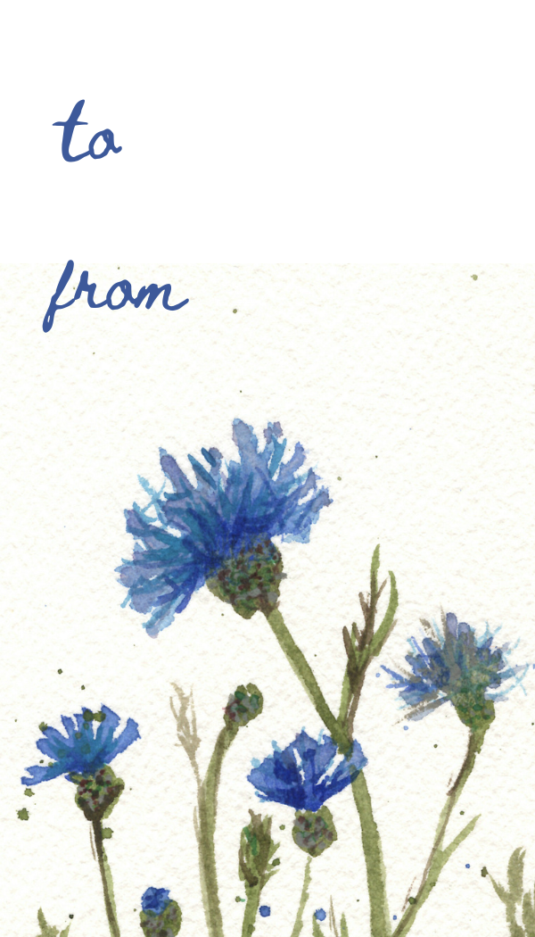 cornflower tag