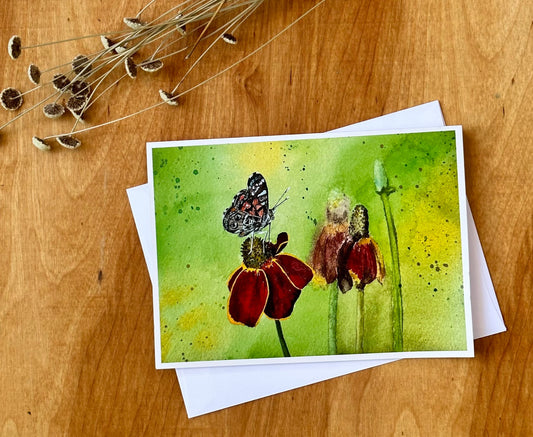 Butterfly on a Mexican Hat Notecard